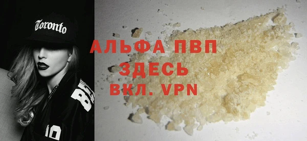 прущие грибы Крымск