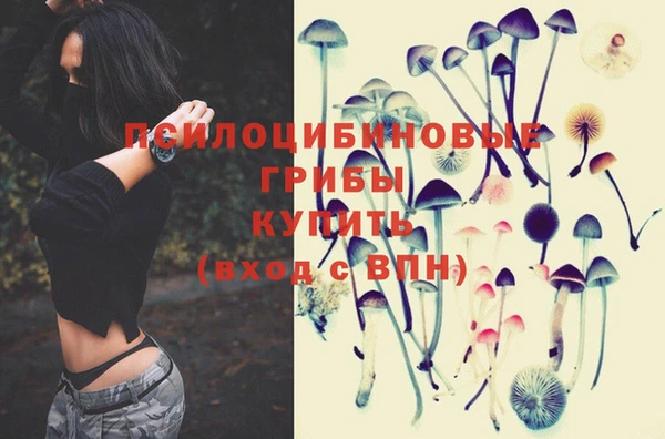 гашик Козловка