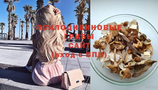 винт Кинешма