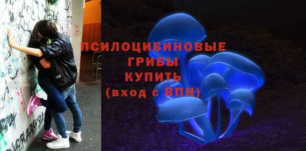 гашик Козловка