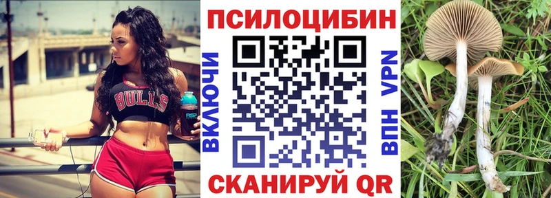 Псилоцибиновые грибы Psilocybine cubensis  Малгобек 