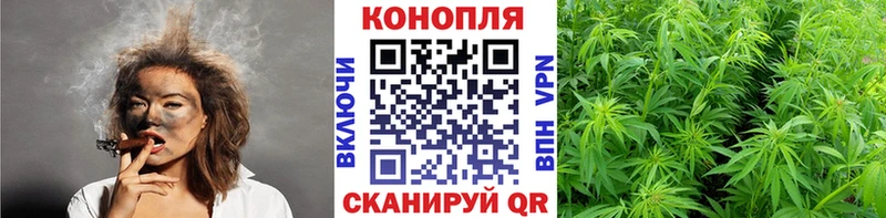 Конопля ГИДРОПОН  Малгобек 
